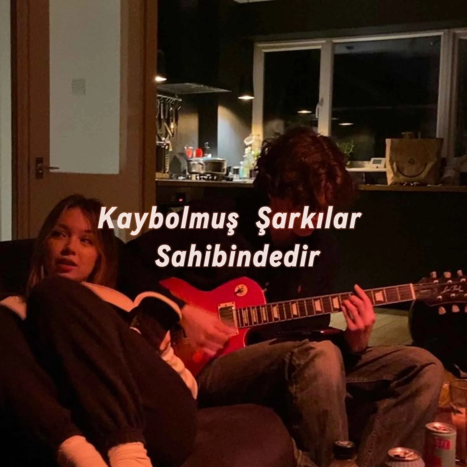 Kaybolan şarkılar sahibindedir. kitap kapağı