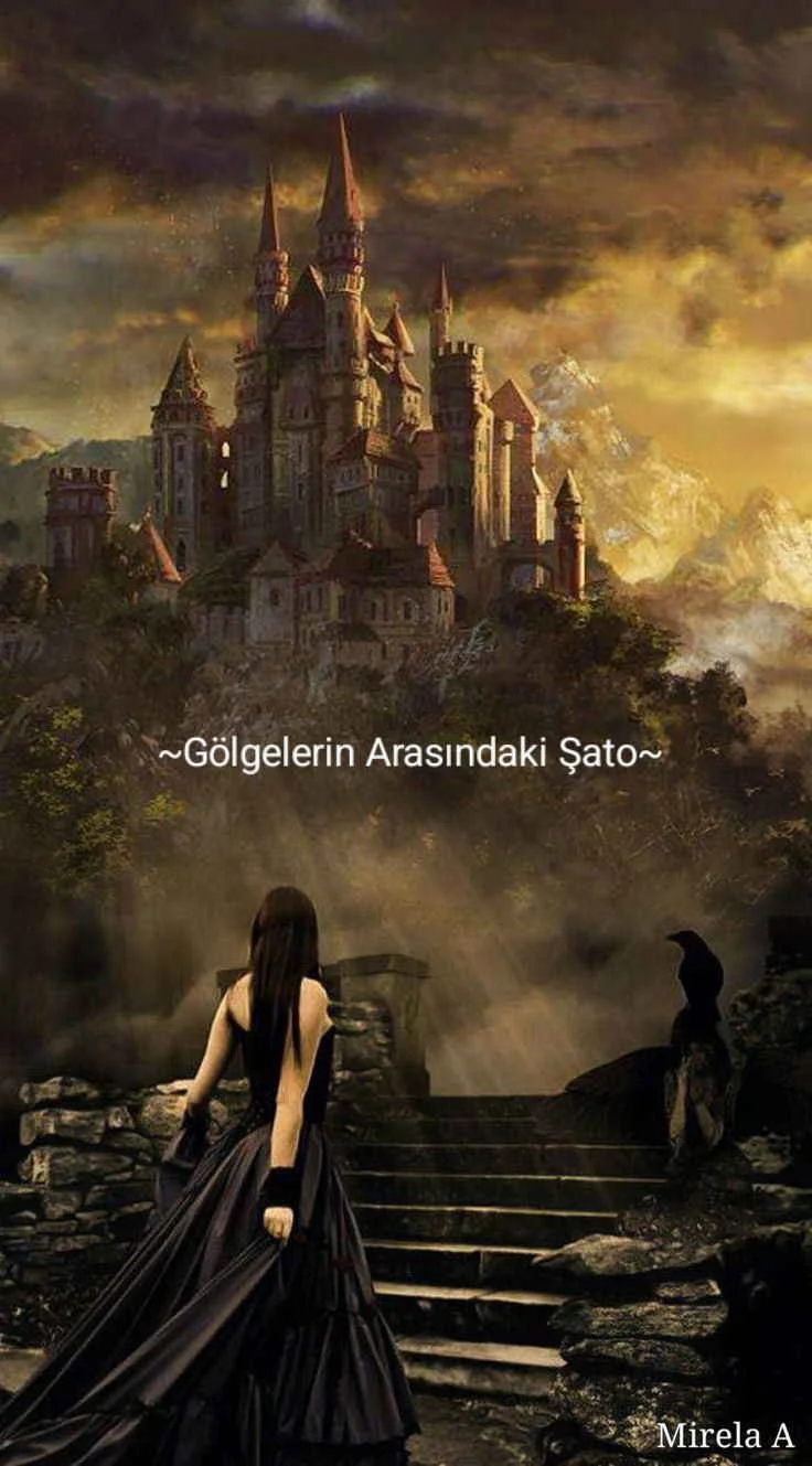 Gölgelerin Arasındaki Şato kitap kapağı