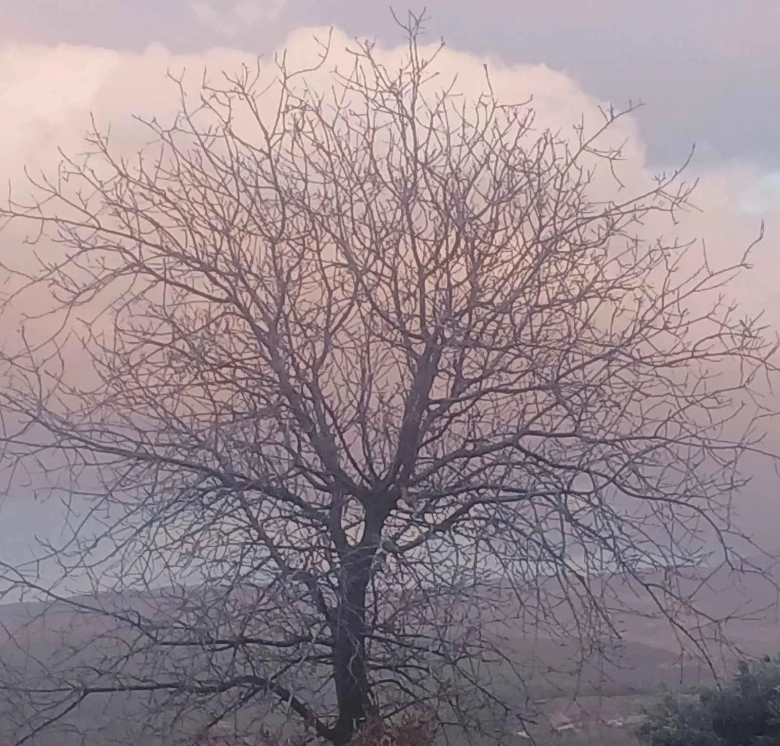 Şiirlerin doğuşu kitap kapağı
