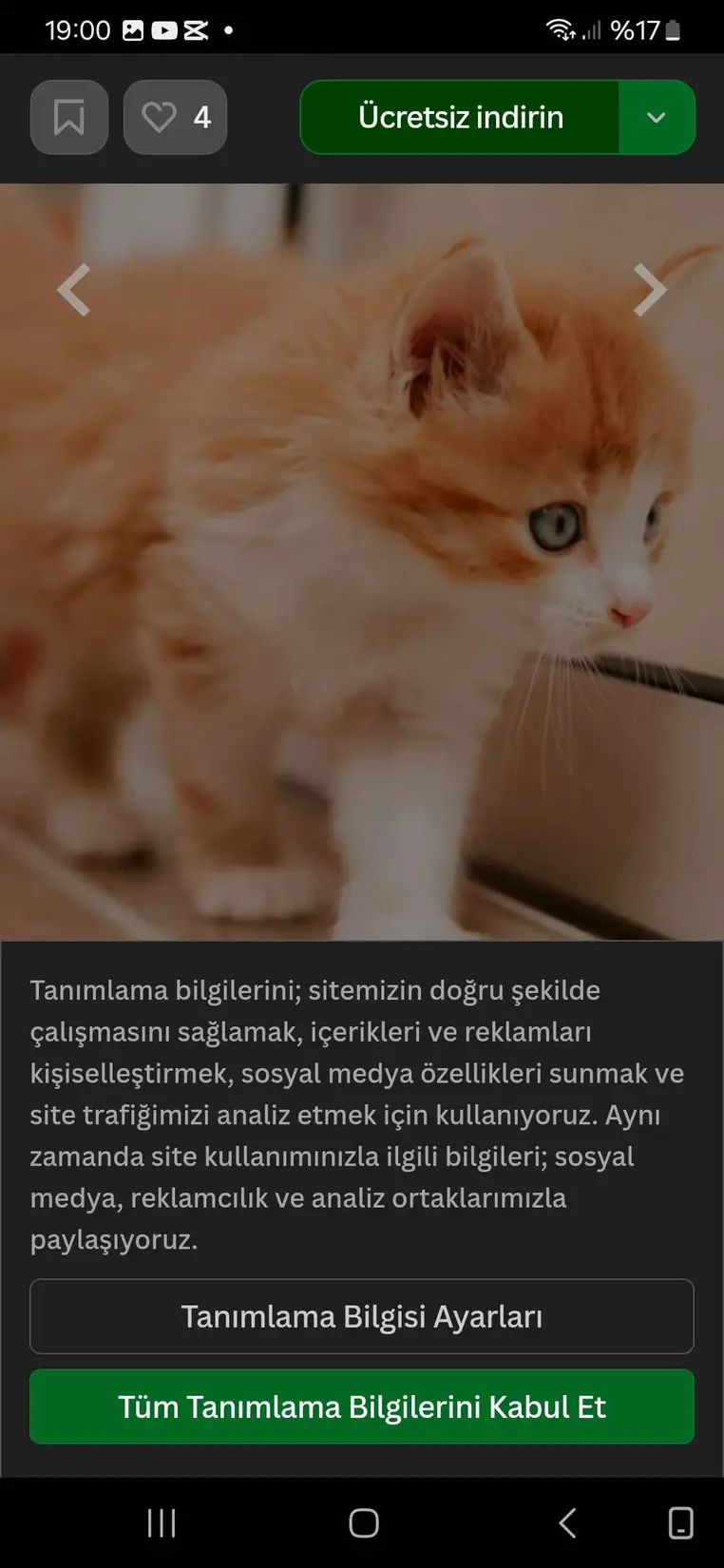 Mırmır pati kitap kapağı