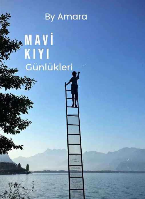 MAVİ KIYI Günlükleri kitap kapağı