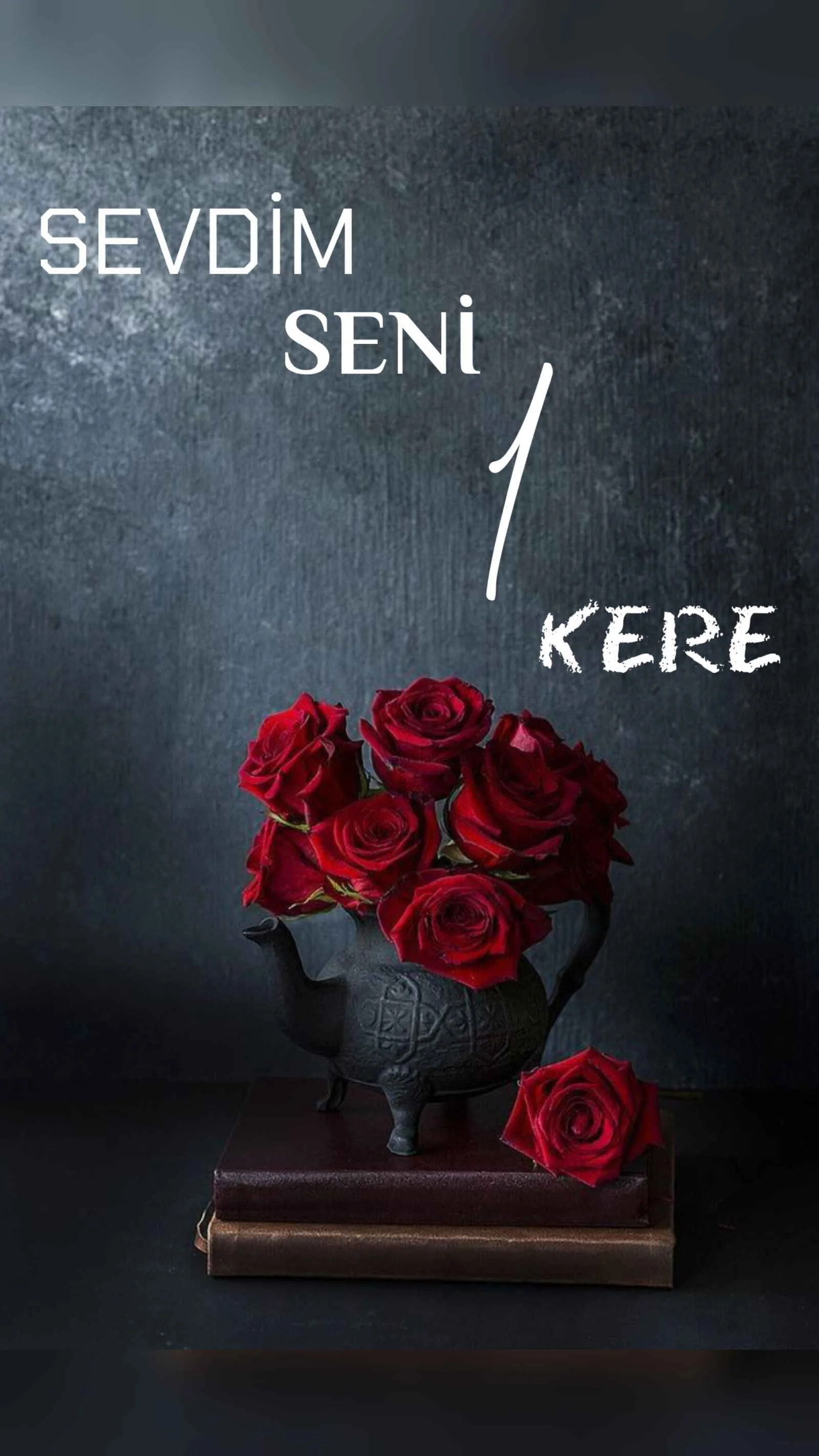 SEVDİM SENİ 1 KERE — Ellarose