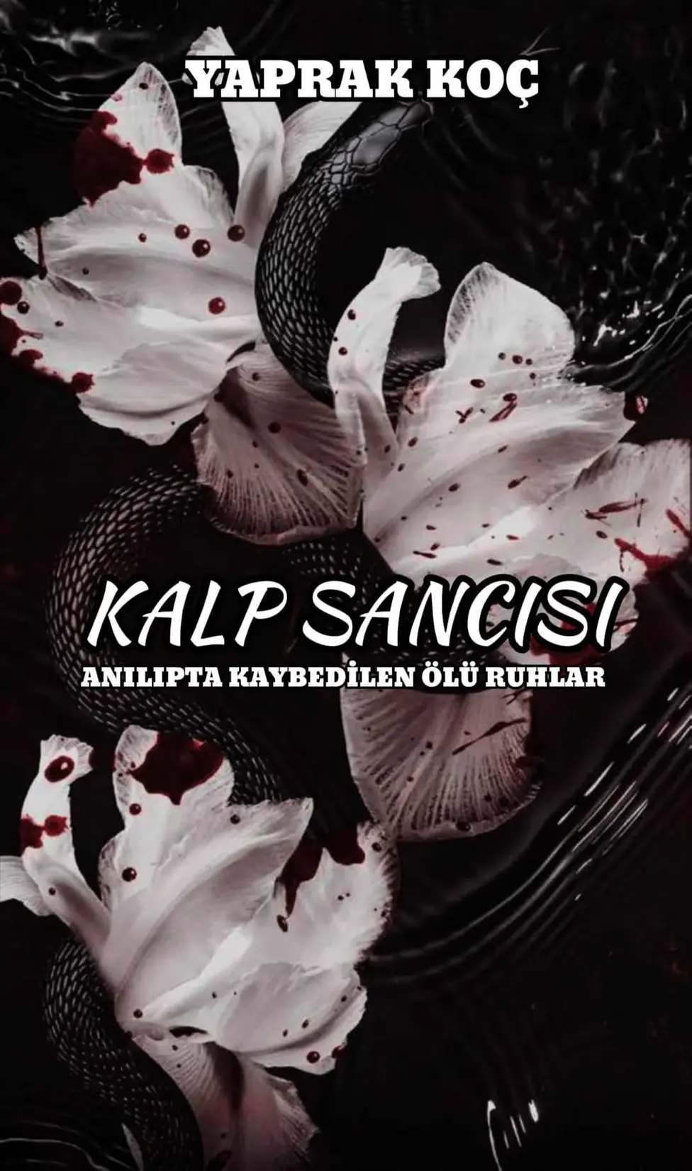 KALP SANCISI kitap kapağı