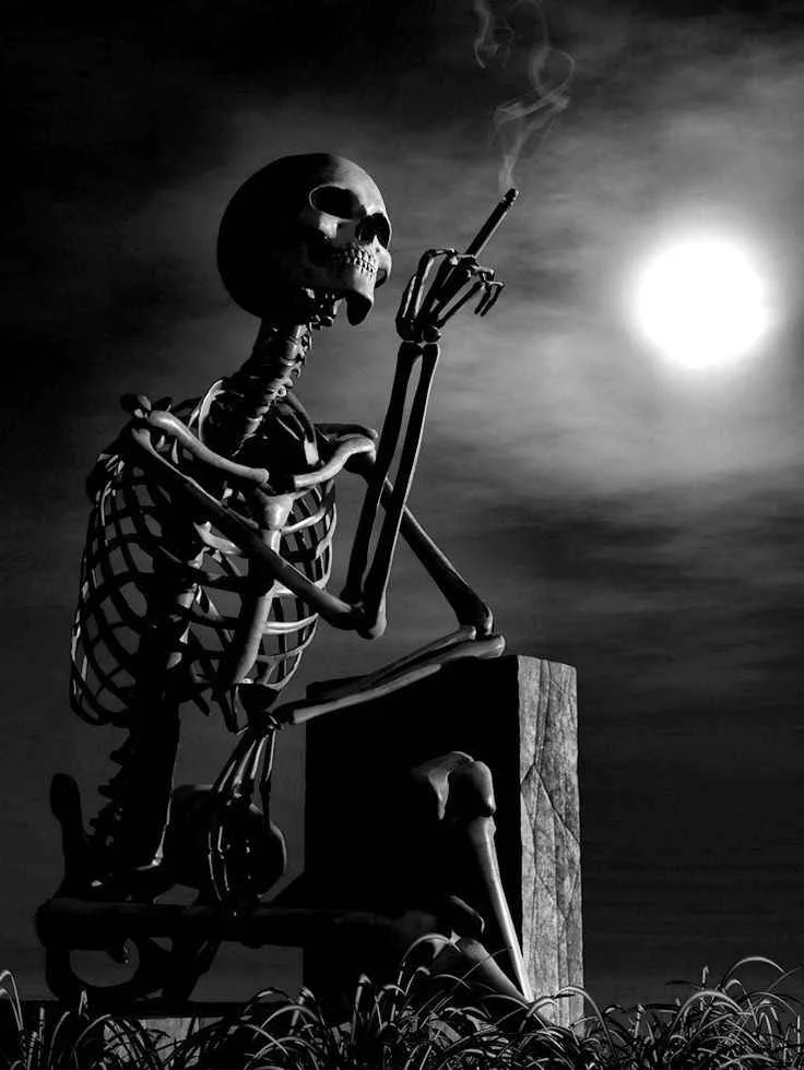 İskeletler dünyası kitap kapağı