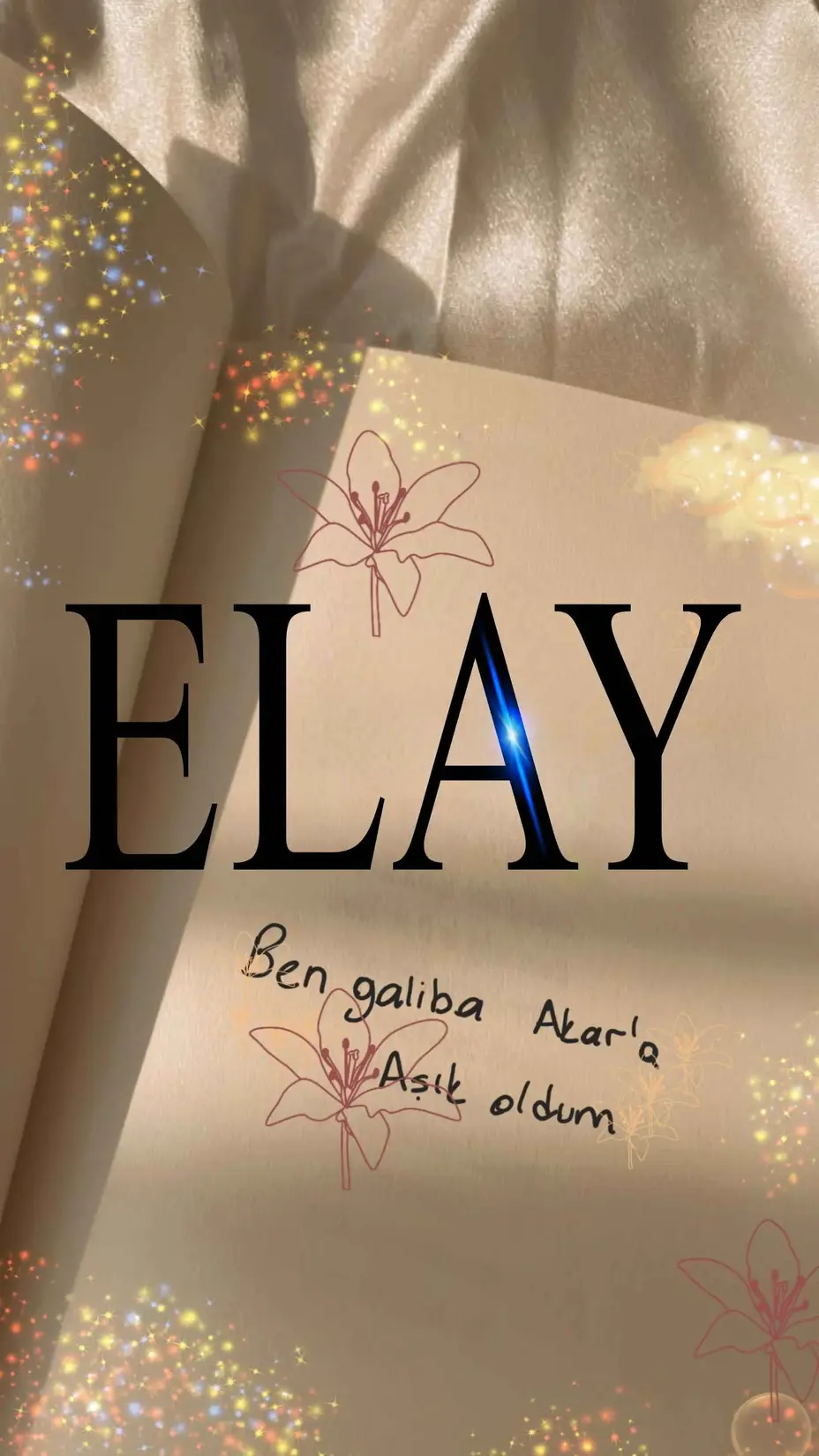 ELAY kitap kapağı
