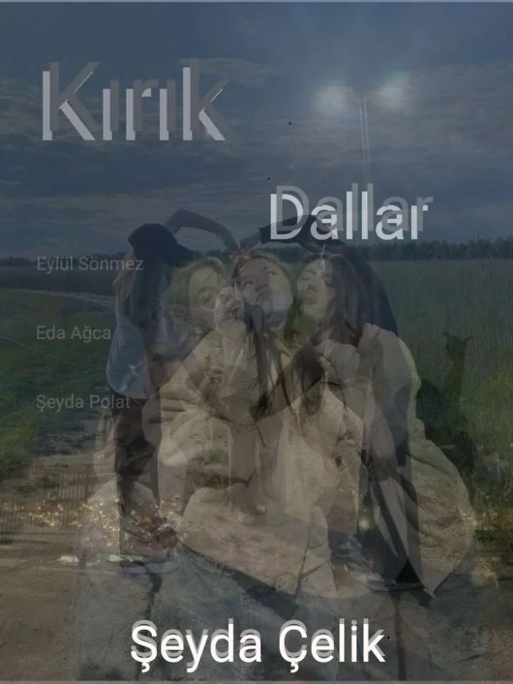 Kırık Dallar kitap kapağı
