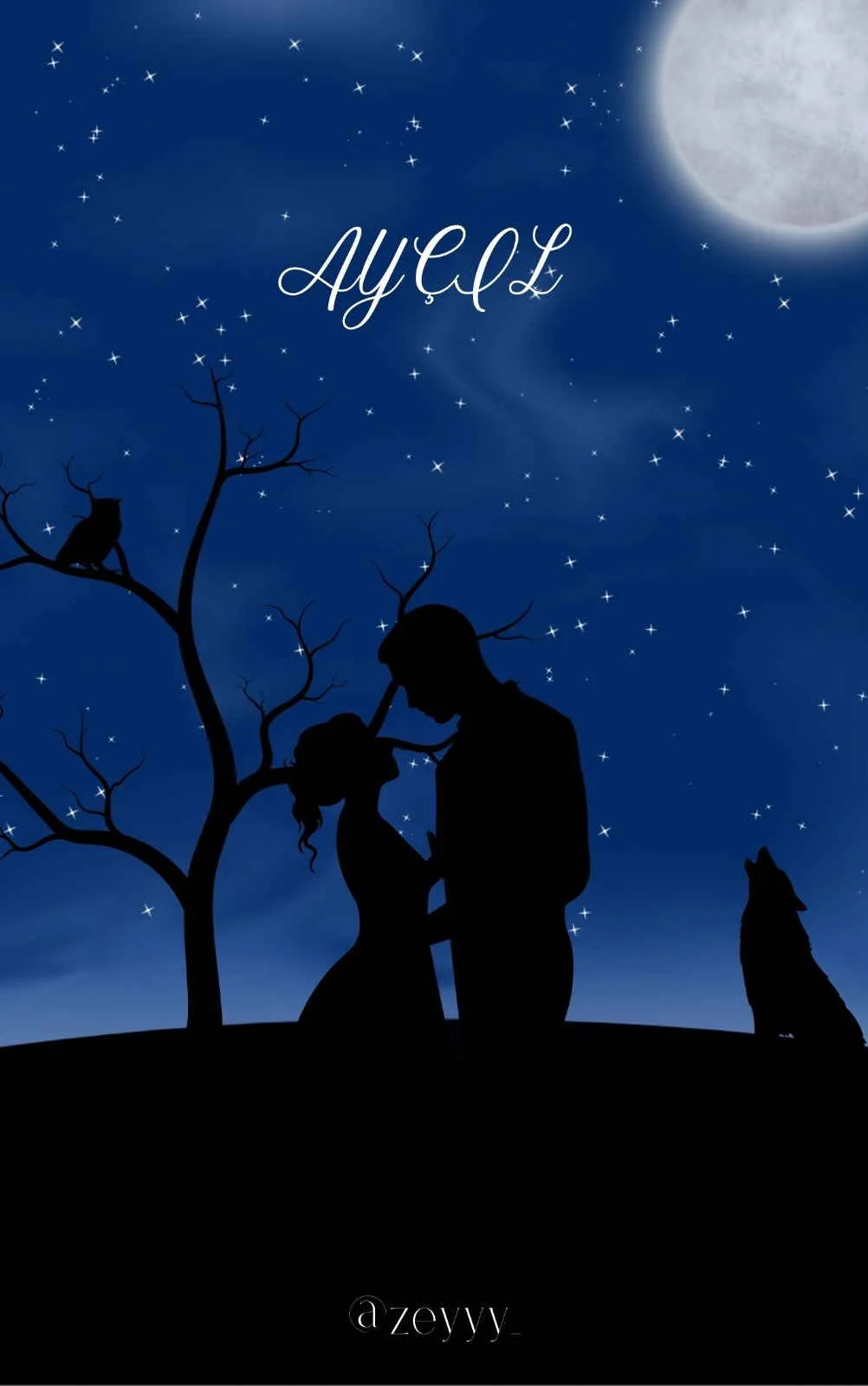 AYÇIL kitap kapağı