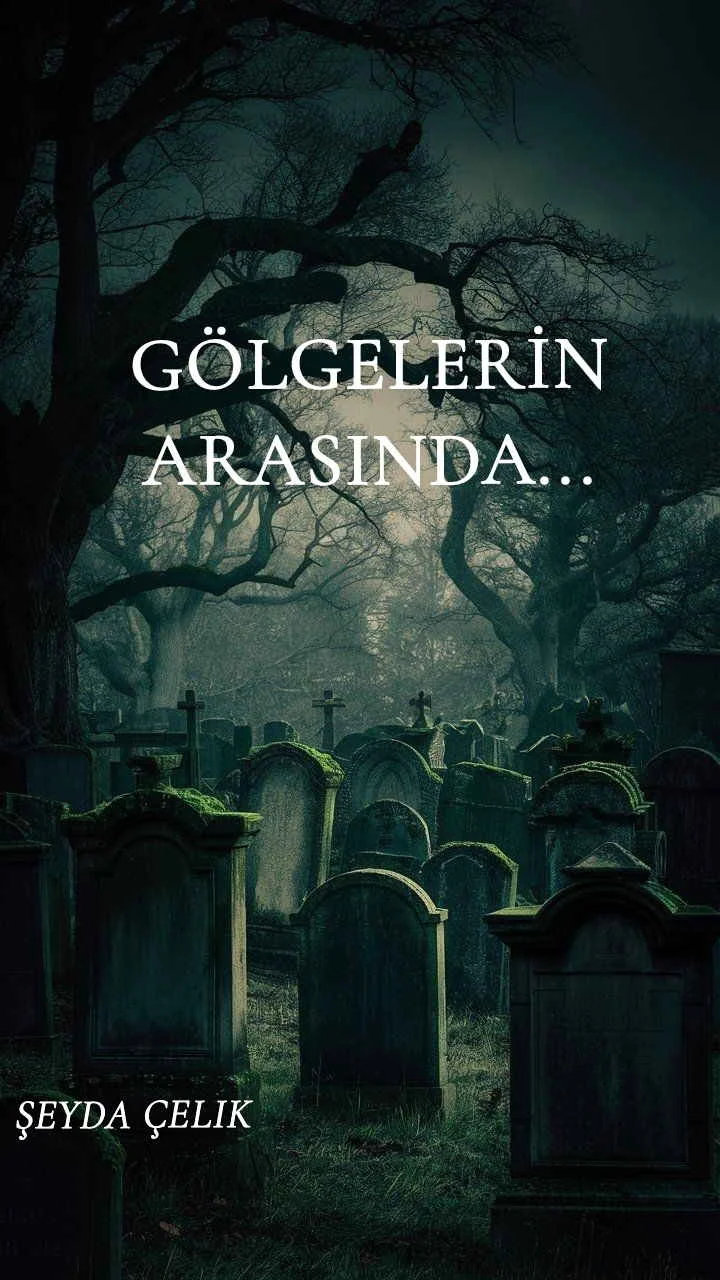 GÖLGELERIN  ARASINDA kitap kapağı