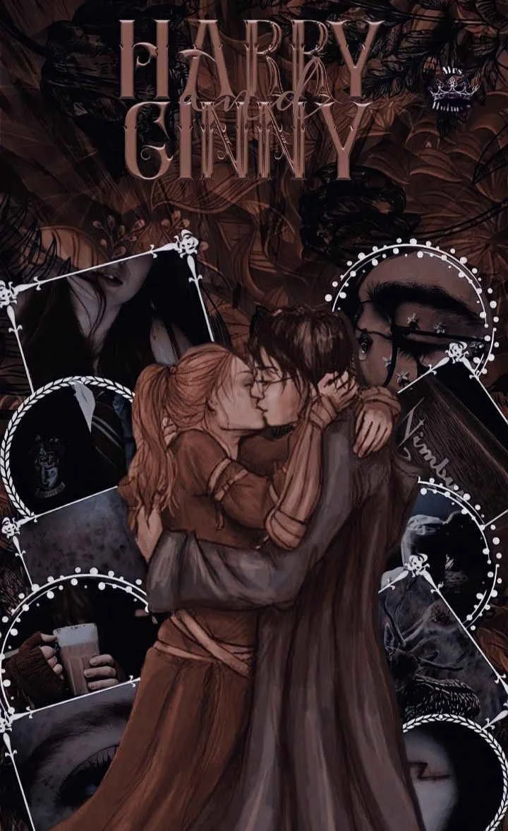 Harry&Ginny kitap kapağı