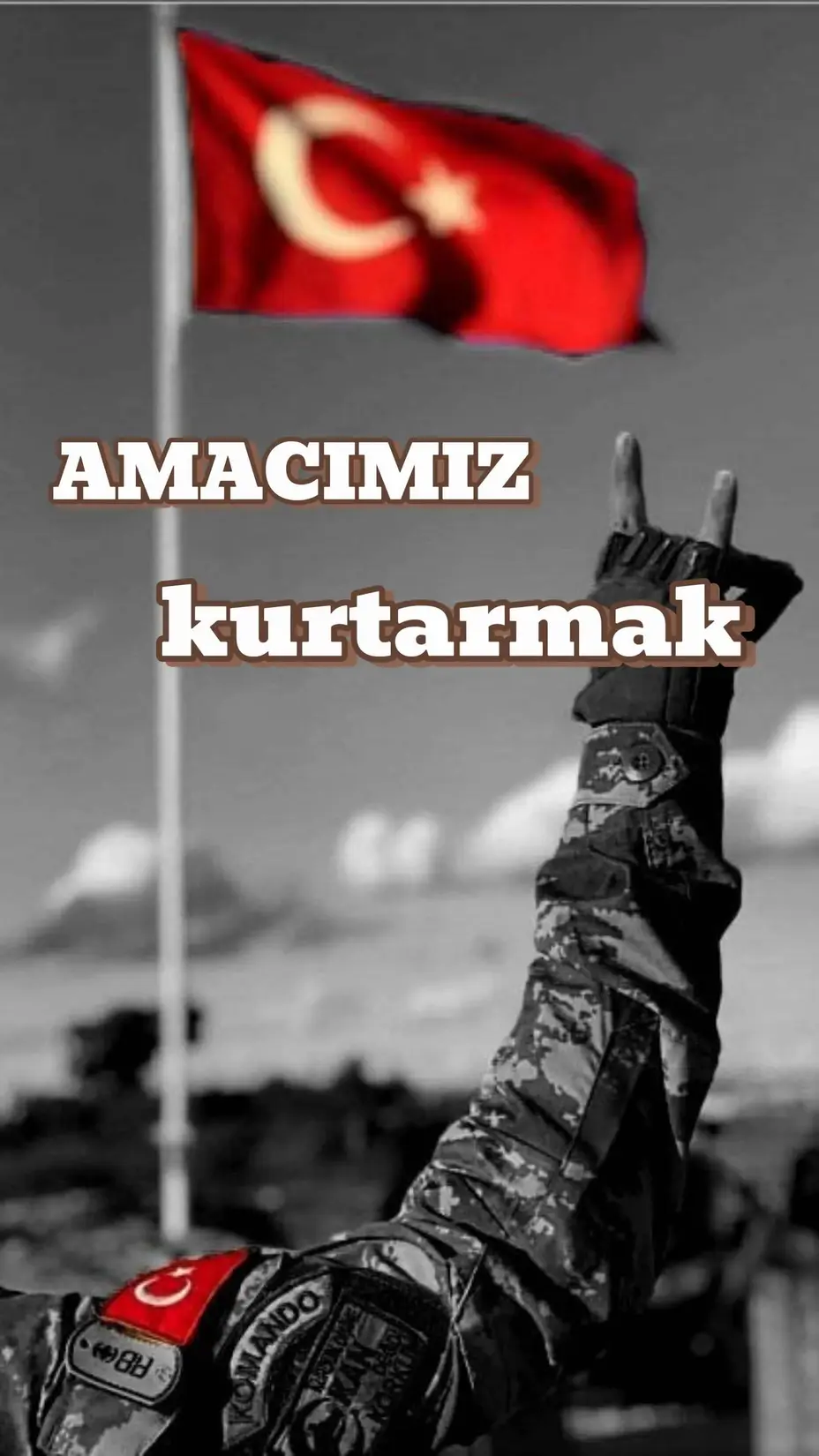 AMACIMIZ KURTARMAK kitap kapağı