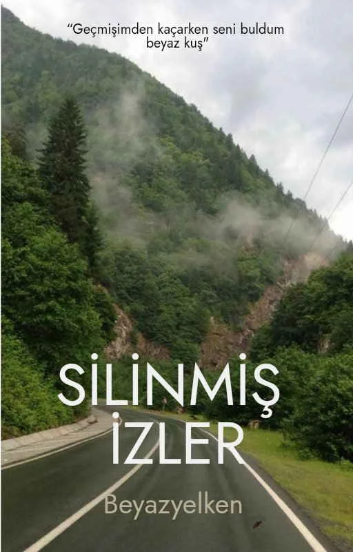 SİLİNMİŞ İZLER kitap kapağı