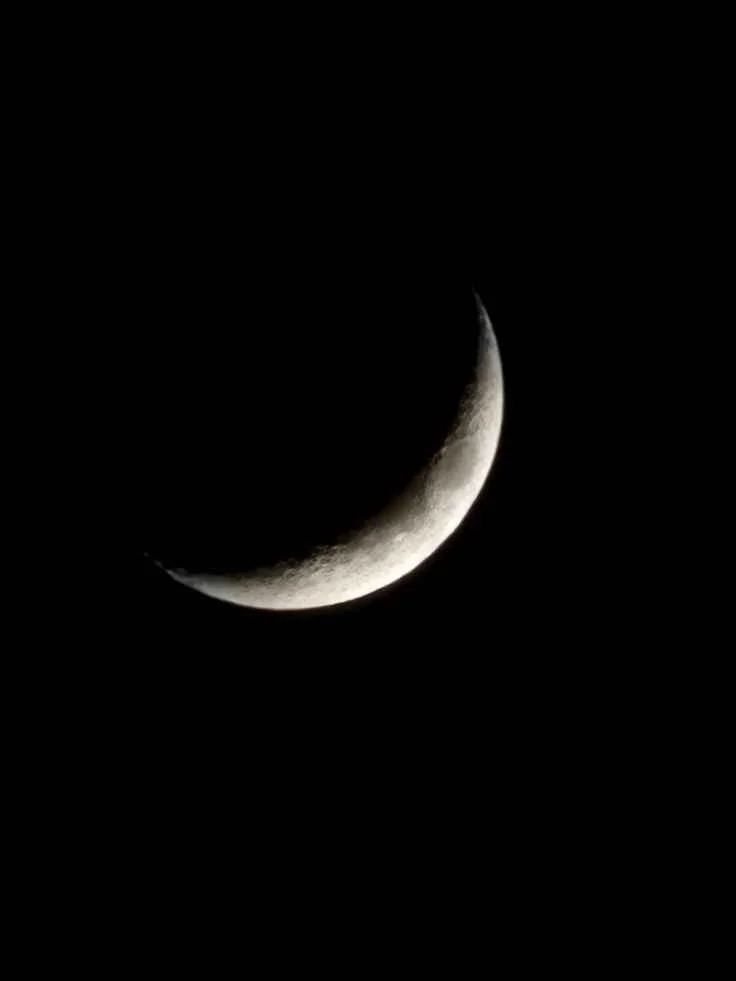 Midnight Minsung kitap kapağı