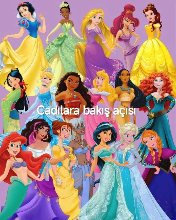 Cadılara bakış açısı kitap kapağı