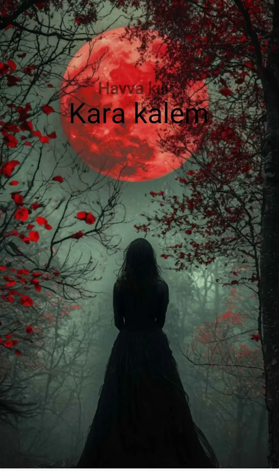 Kara kalem kitap kapağı
