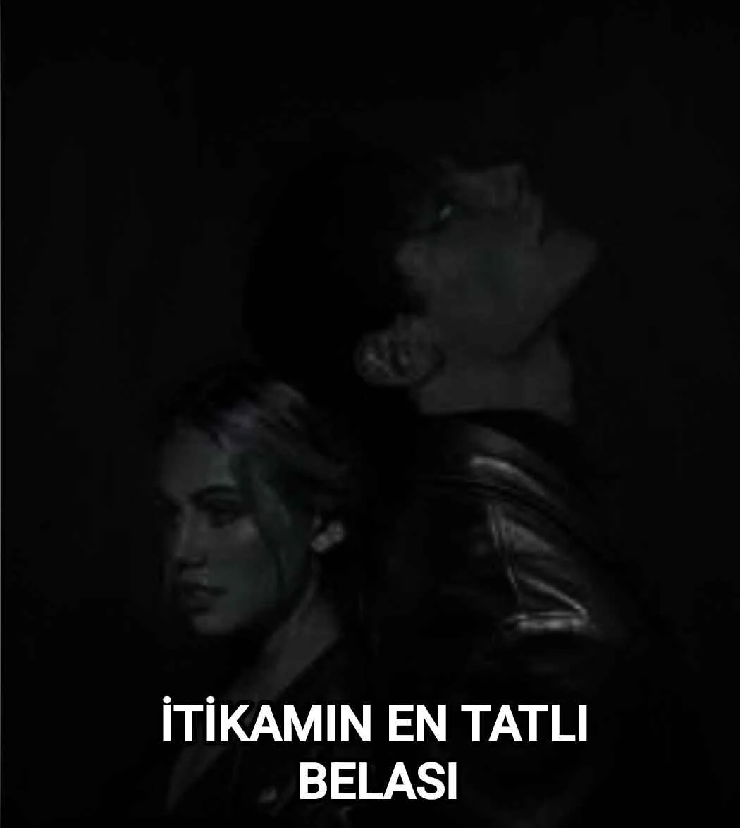 İNTİKAMIN EN TATLI BELASI kitap kapağı