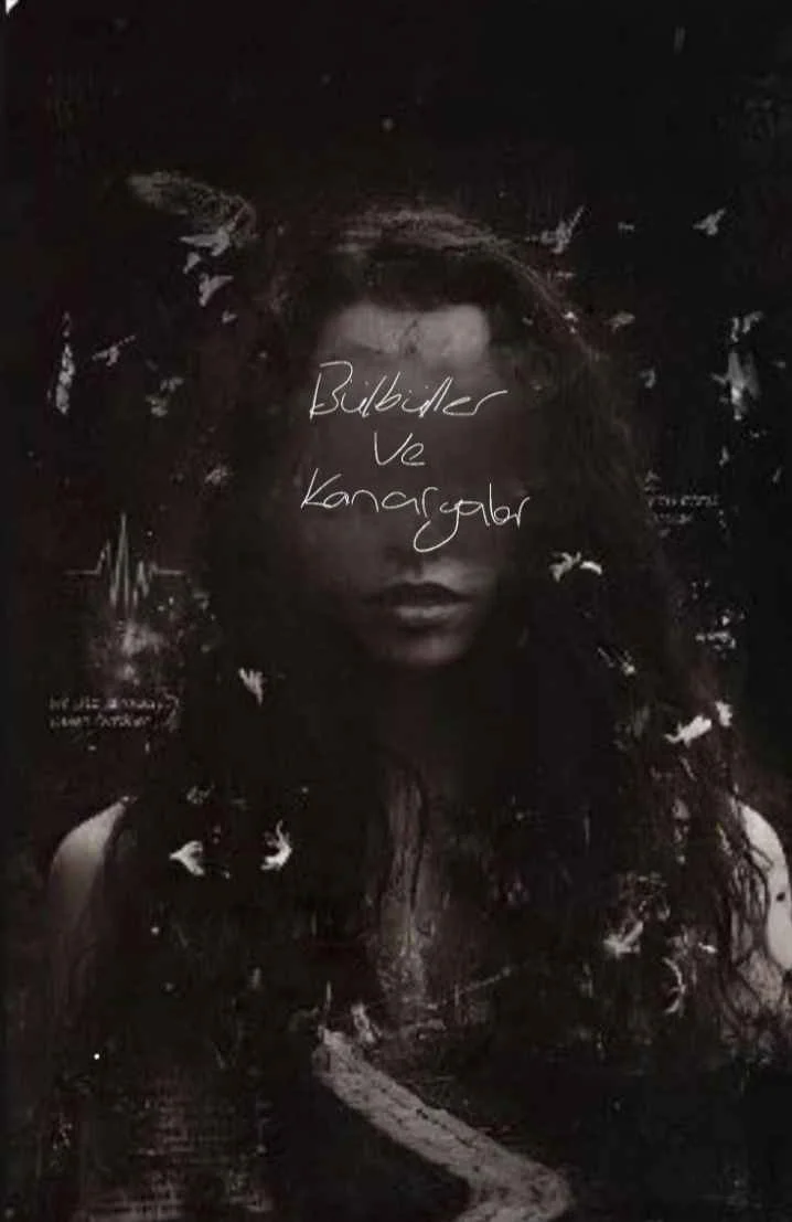 Bülbüller Ve Kanaryalar kitap kapağı