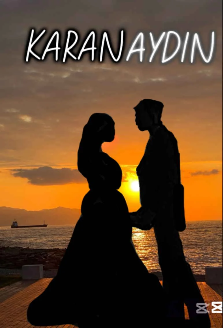 KARANAYDIN kitap kapağı