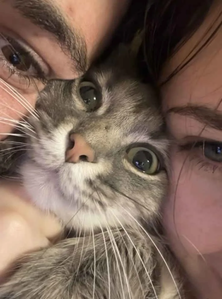 Kedi Askina!:Kedinin Şansı — Damla İstee
