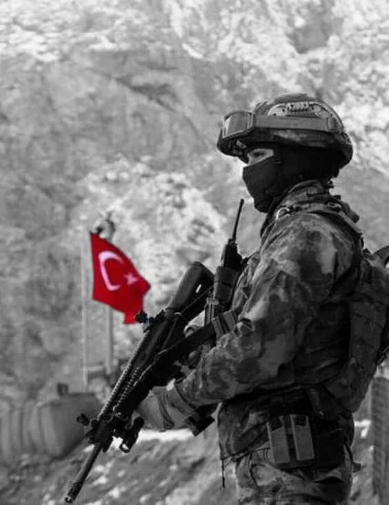 YEŞİL TUTAM  - dilsiz asker kitap kapağı
