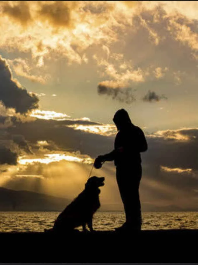 Ben ve köpeğim kitap kapağı
