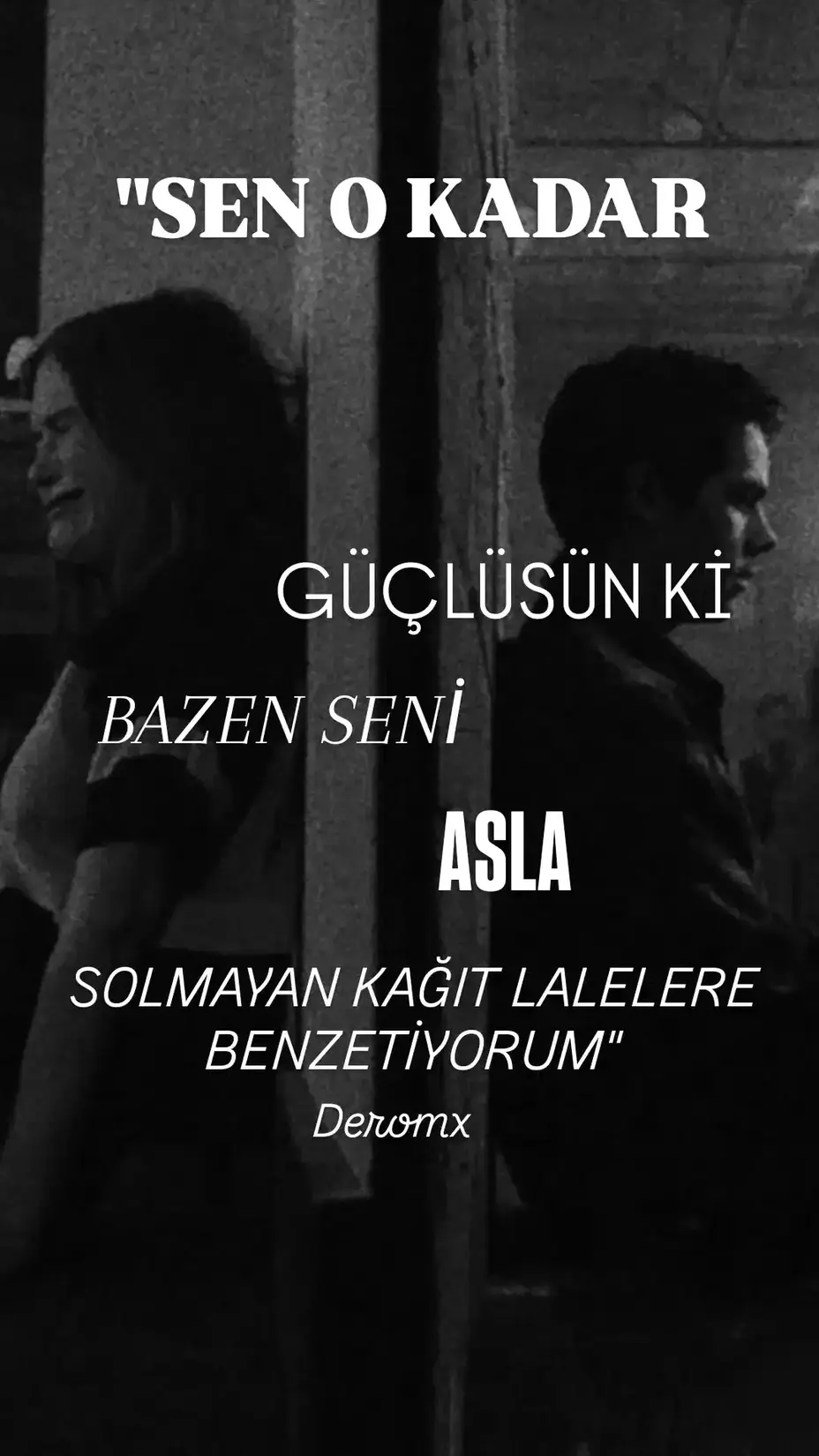 Lale kitap kapağı