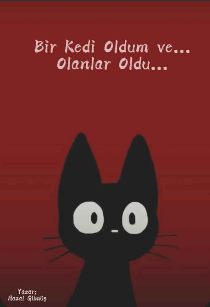BİR KEDİ OLDUM ve OLANLAR OLDU kitap kapağı