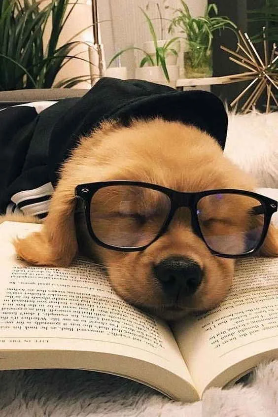 Şans mı? Tesadüf mü? kitap kapağı