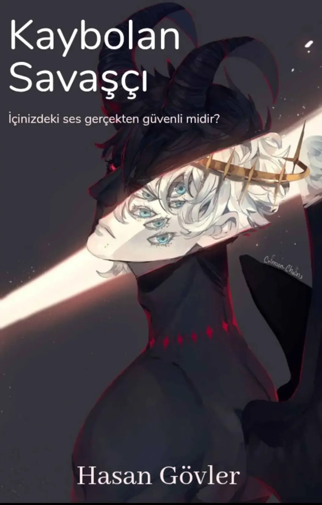 Kaybolan Savaşçı kitap kapağı