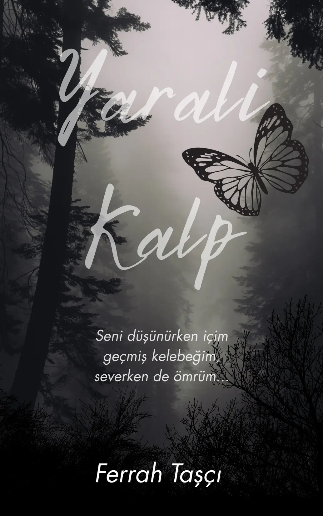 Yaralı Kalp kitap kapağı