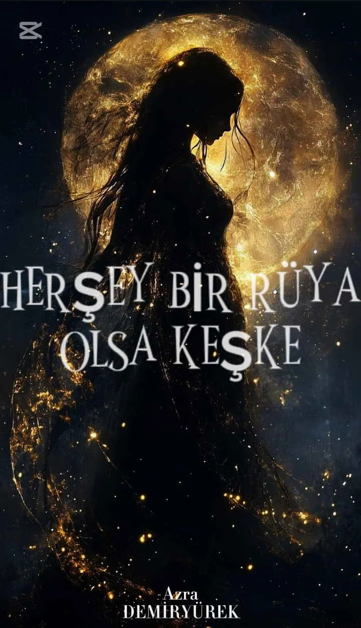 HERŞEY BİR RÜYA OLSA KEŞKE kitap kapağı
