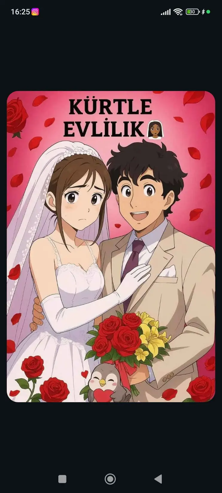 PLATONİK 👄 kitap kapağı