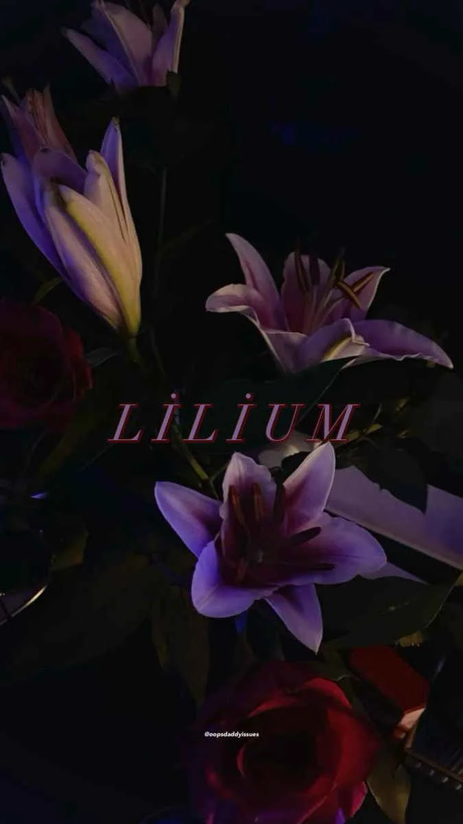 LİLİUM’ kitap kapağı