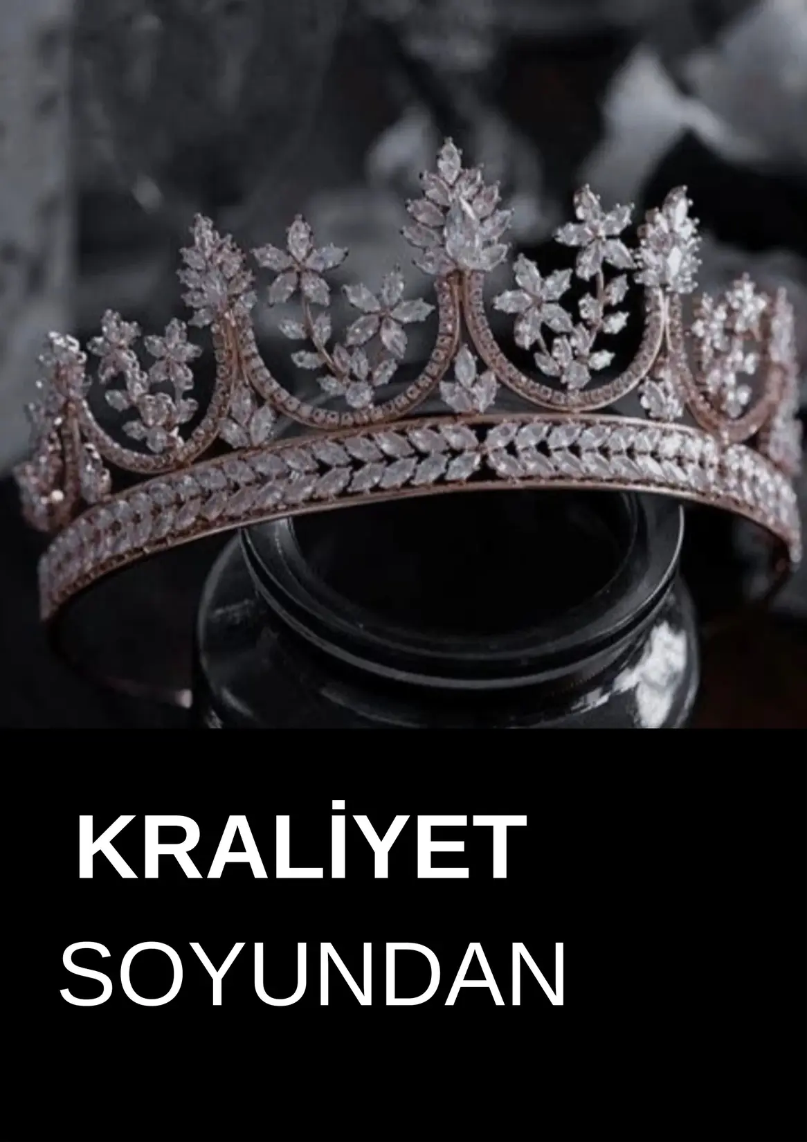 Kraliyet Soyundan kitap kapağı