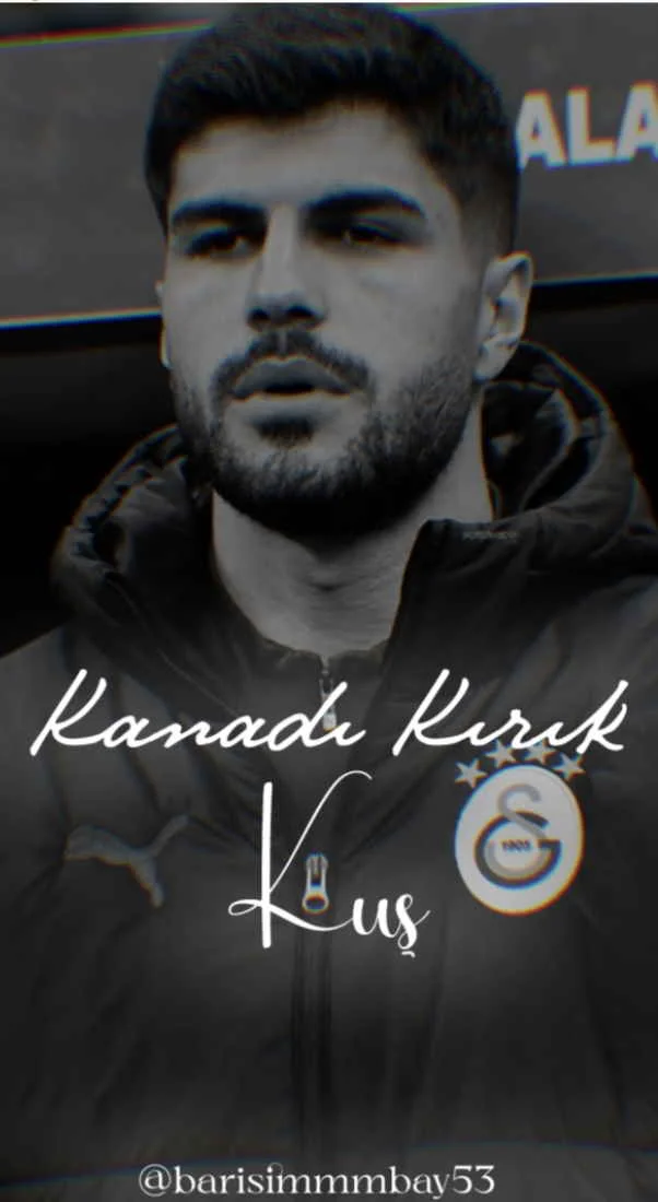 Kanadı Kırık Kuş(Eren Elmalı) kitap kapağı