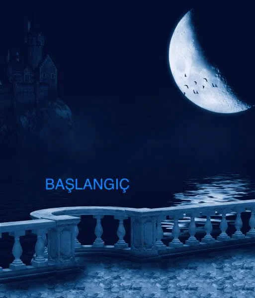 BAŞLANGIÇ kitap kapağı