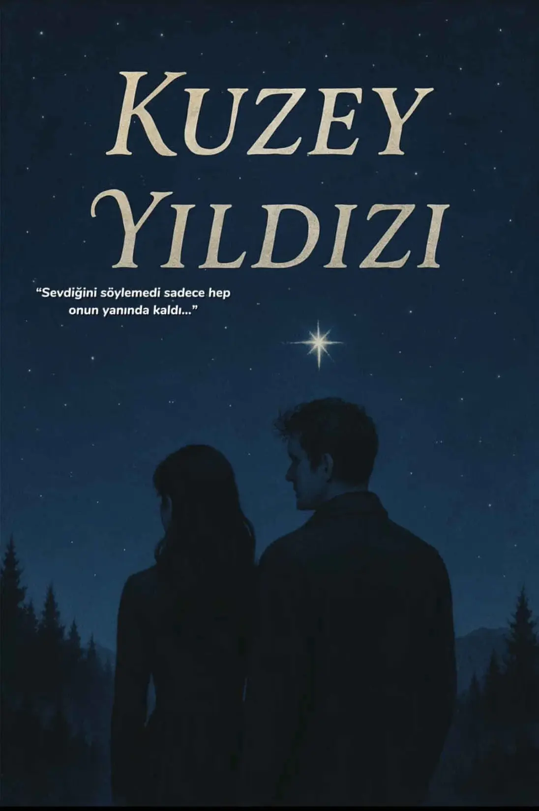 Kuzey Yıldızı kitap kapağı