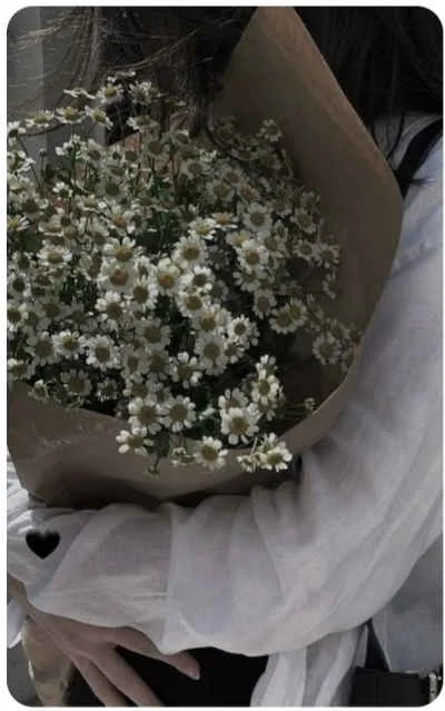 Senden baska kitap kapağı