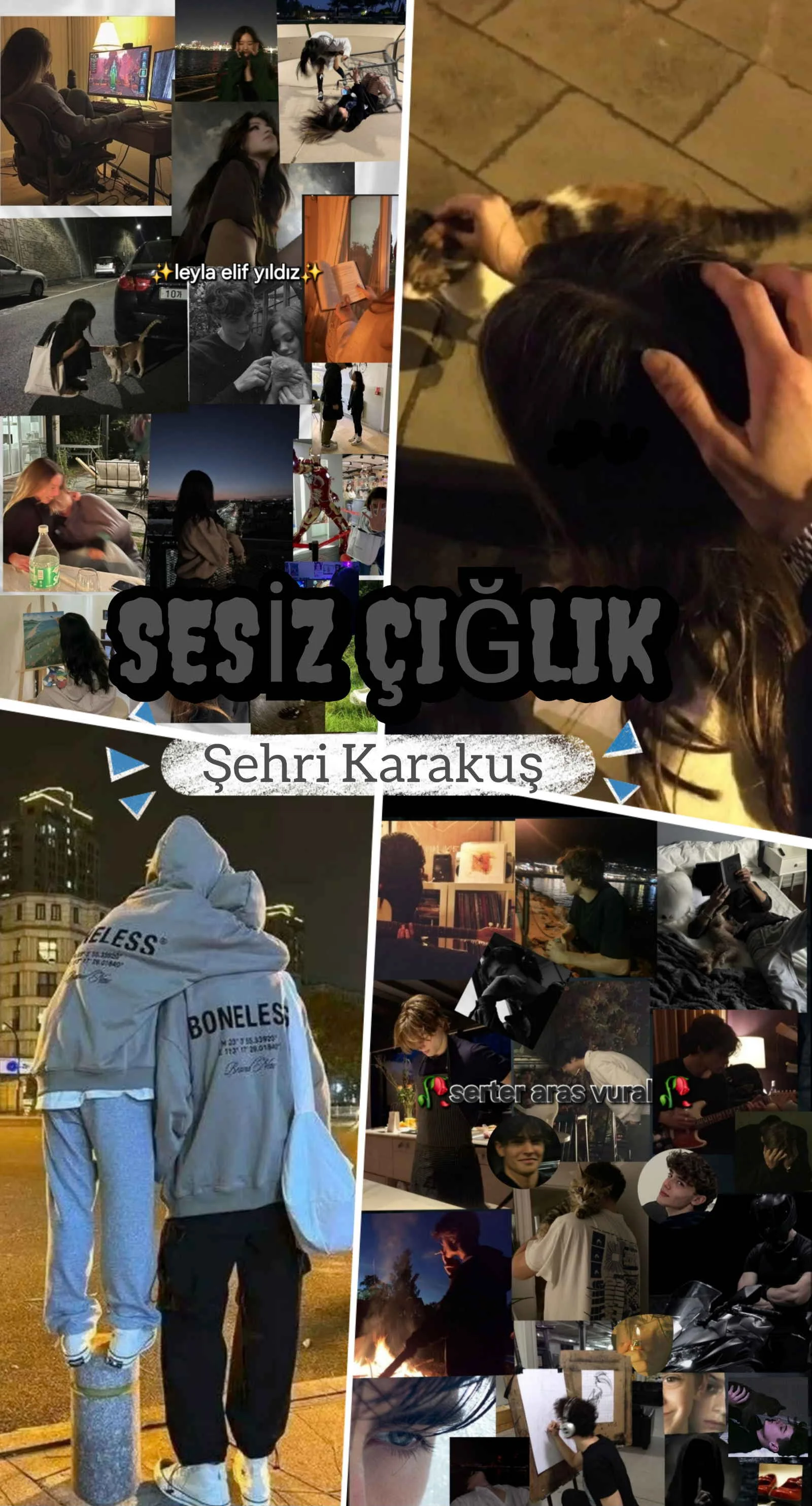 SESİZ ÇIĞLIK — Şehri Karakuş