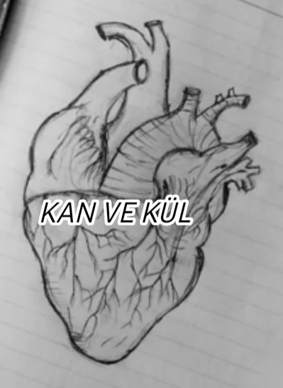 KAN VE KÜL kitap kapağı