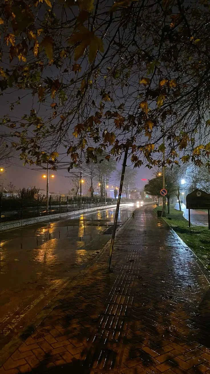 Eylül Yağmuru kitap kapağı