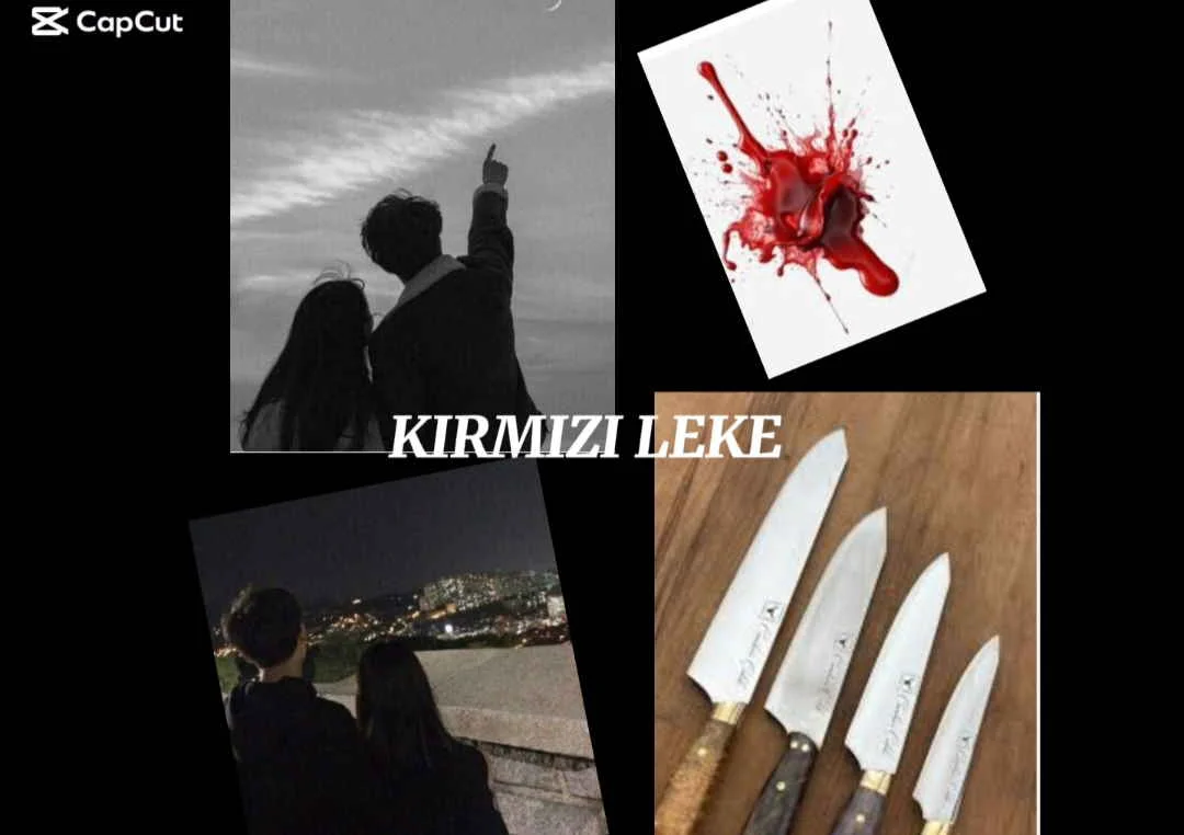 KIRMIZI LEKE kitap kapağı