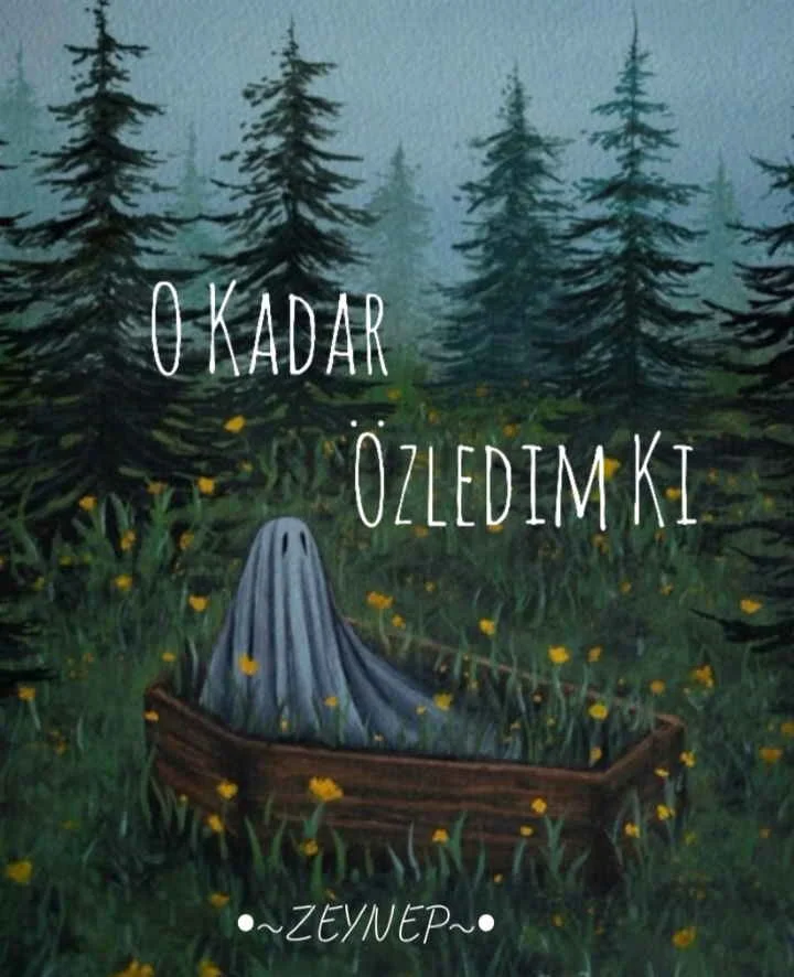 O Kadar Özledim Ki — ¿bykmalcildrdı¿