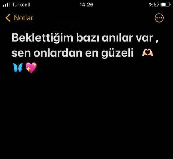 Kelebeğin rüyası kitap kapağı
