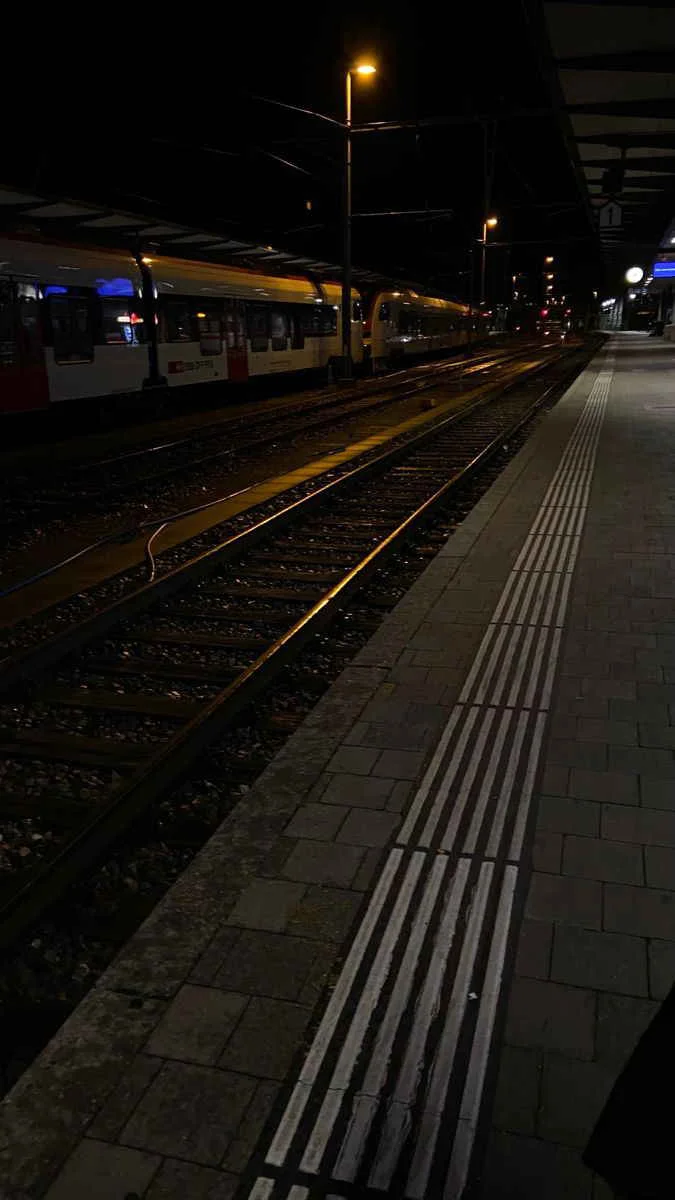 TREN İSTAYONU kitap kapağı
