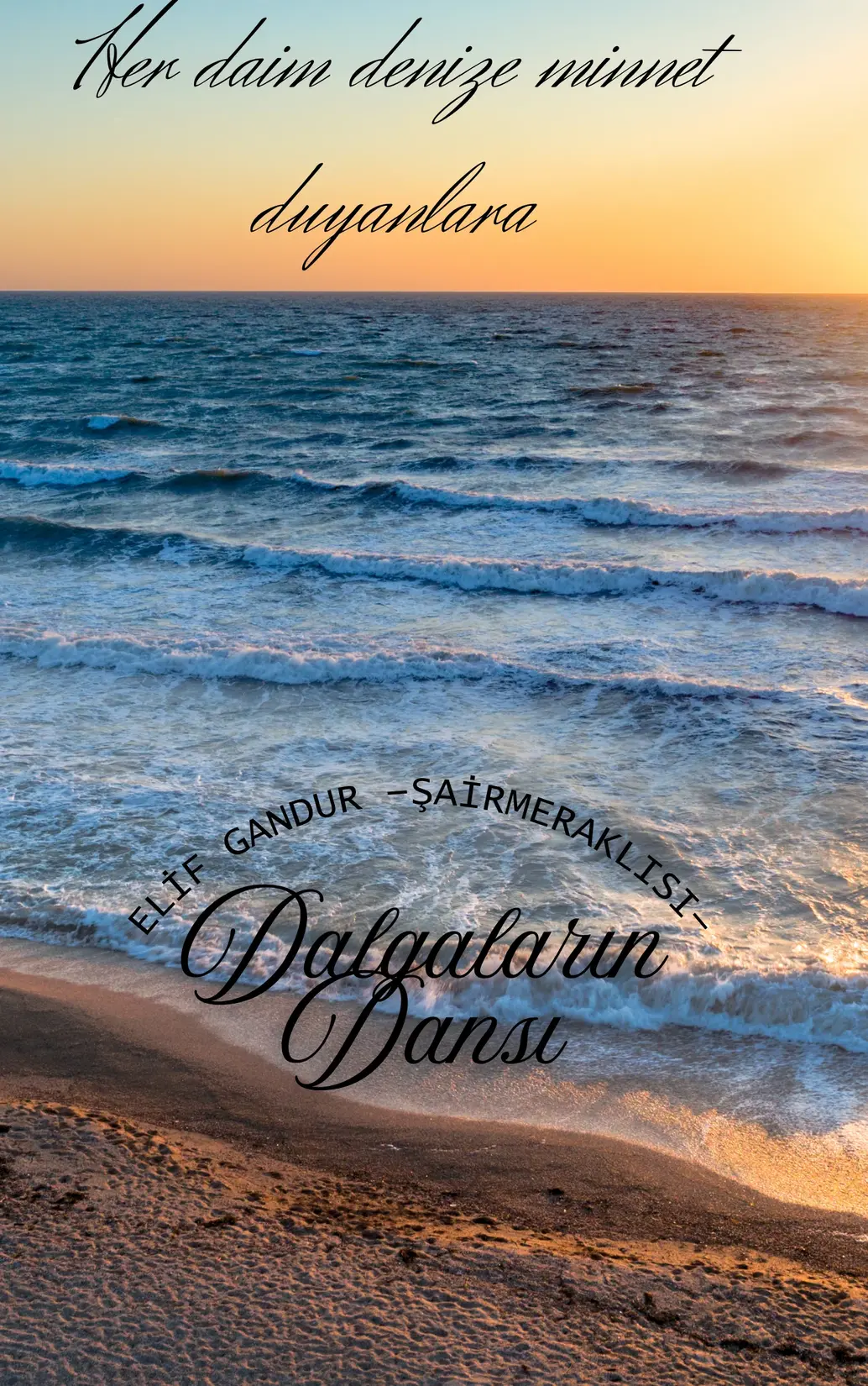 DALGALARIN DANSI kitap kapağı
