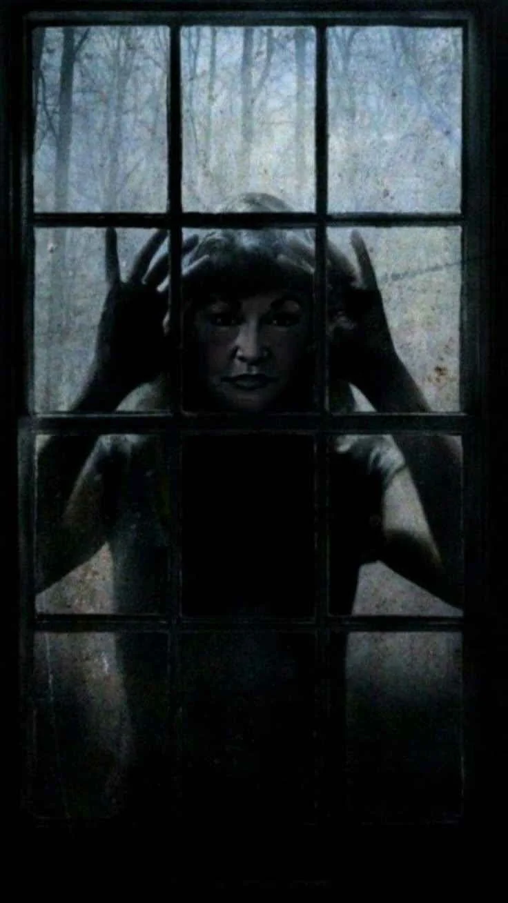 The Window Games kitap kapağı
