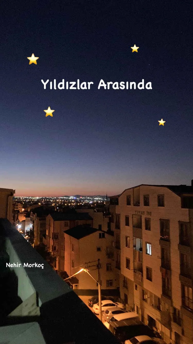 Yıldızlar Arasında kitap kapağı