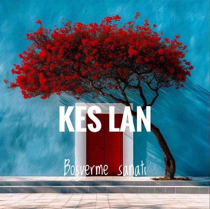 Boşverdiren Blog kitap kapağı