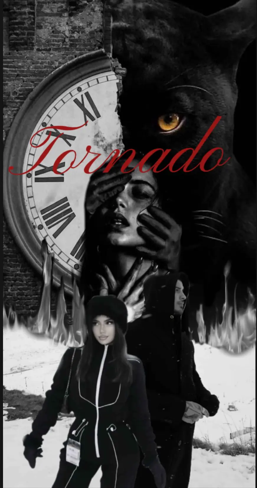 Tornado kitap kapağı