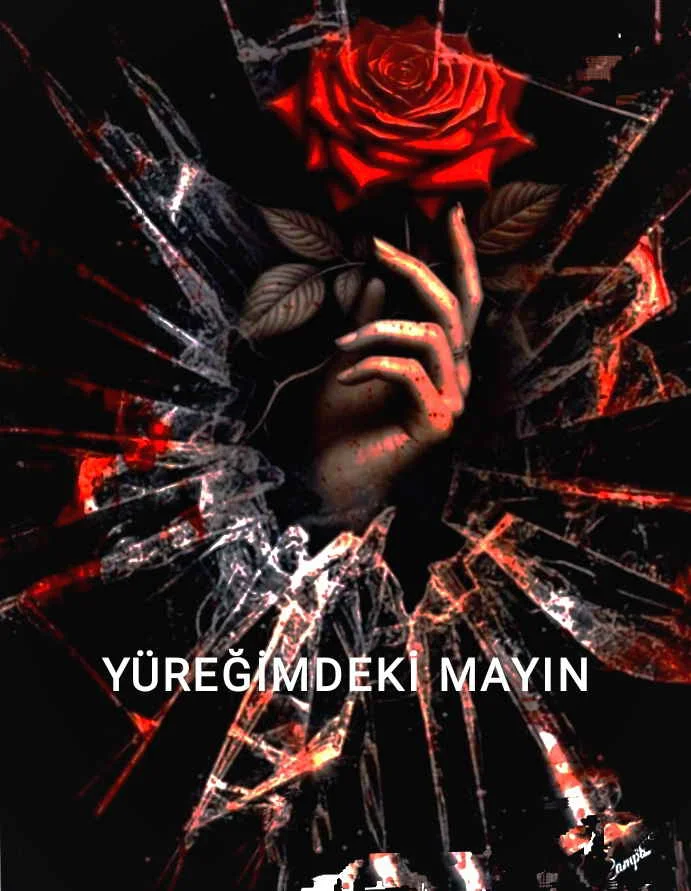 Yüreğimdeki mayın kitap kapağı
